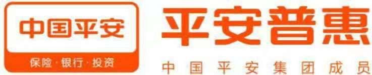 平安普惠信息服務南京廬山路分公司