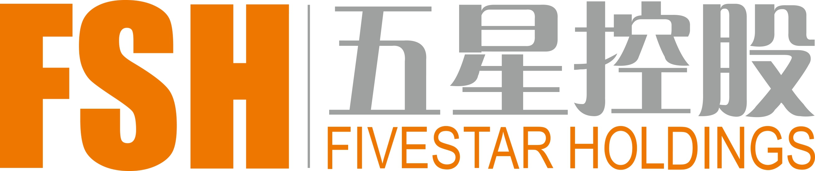 五星控股集團有限公司